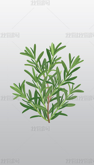 Եݱֲ宋͸⓸pngDƬز