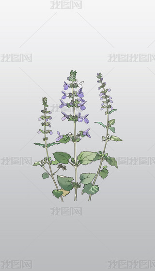 βݲݱֲֲW(xu)宋(hu)͸⓸pngDƬز