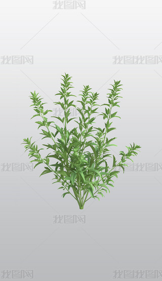 GɫݱֲD͸⓸pngDƬز