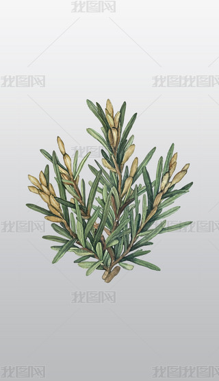 rԵݱֲ宋͸⓸pngDƬز