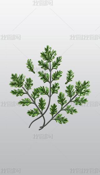 rW۲ݱֲ宋͸⓸pngDƬز