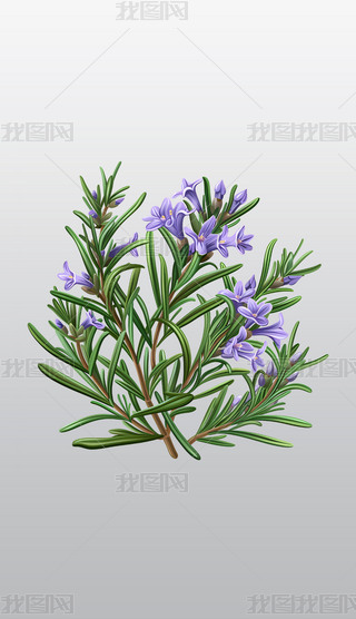 ɫԵݱֲ宋͸⓸pngز