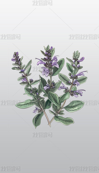 ϻβ݈Dʾ͸⓸pngDƬز