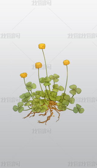 _(ki)Sޣ͸⓸pngDƬز