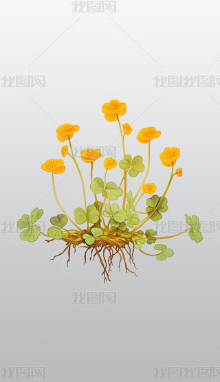 SɫcϵֲW(xu)宋(hu)͸⓸pngDƬز