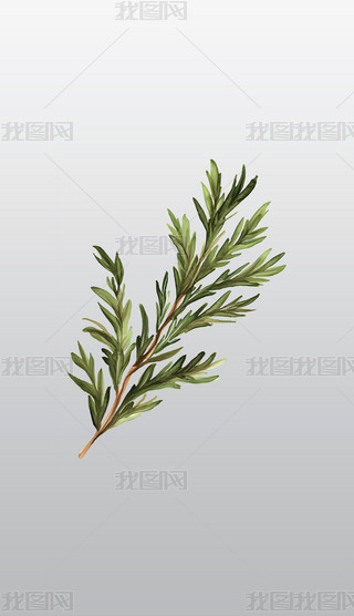 GɫԵݱ֦l宋͸⓸pngDƬز