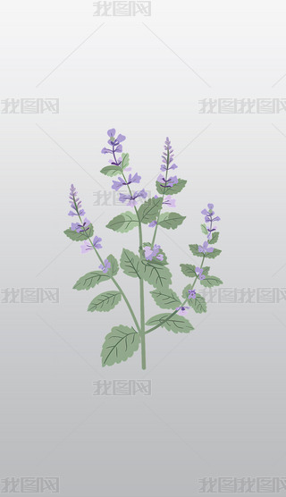 ɫݱֲD͸⓸pngDƬز