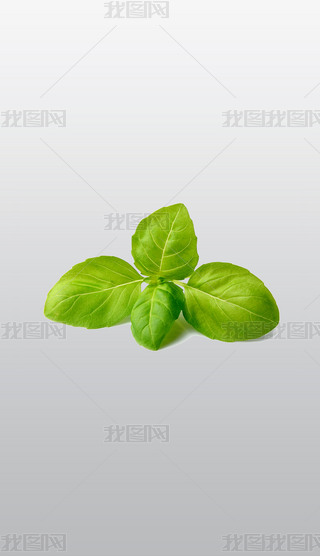 _L(fng)ζ_͸⓸pngDƬز