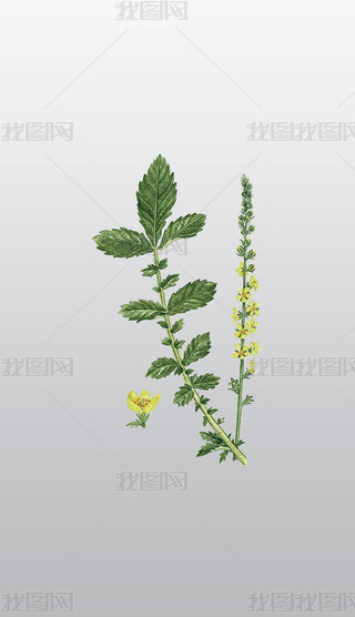 ˎֲLDݱֲ͸⓸pngDƬز