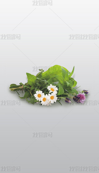 xˎֲݱֲ͸⓸pngDƬز