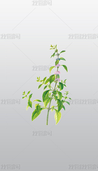 ݾVĿt(y)ˎвˎWƪ͸pngز