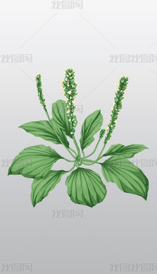 ˎֲ~܇ǰݲݱֲ͸⓸pngز