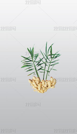 ˎW(xu)y(tng)t(y)ˎˎ͸⓸pngDƬز