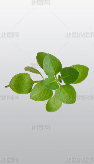 ţRmī籡͸⓸pngDƬز