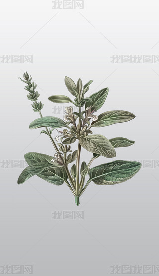 βݲݱֲD͸⓸pngDƬز