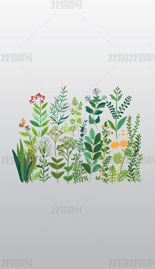 NGɫֲcܸ͸⓸pngDƬز