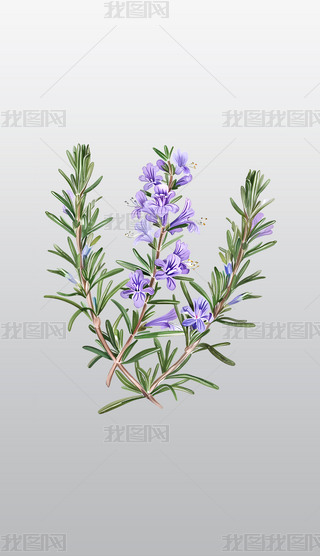 ˮԵ֦D͸⓸pngDƬز