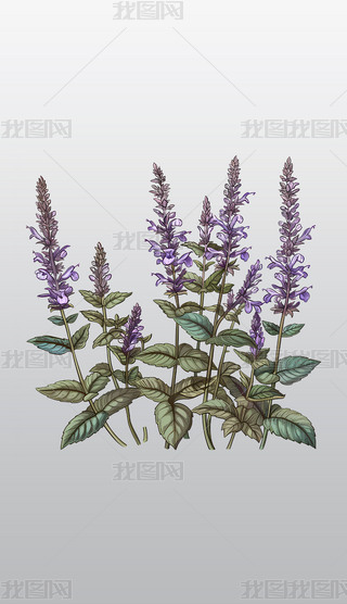 ϻβݷҷ͸⓸pngDƬز