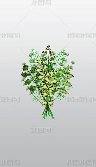 ֲoˎݱֲľֲȺ͸⓸pngز