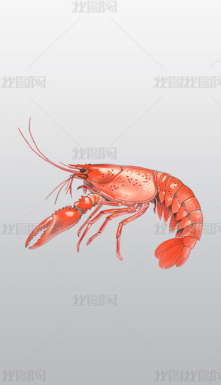 (x)Lĳɫr宋͸⓸pngDƬز