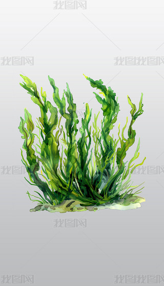 Gɫˮʮ͸⓸pngDƬز