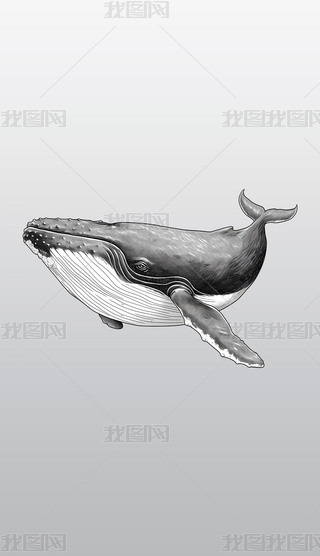 ڰ׌(xi)(sh)L~(y)宋(hu)͸⓸pngDƬز