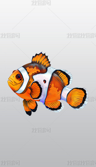 ɫС~宋͸⓸pngDƬز