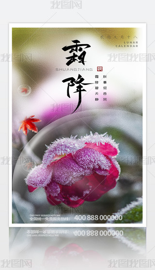 Ї(gu)y(tng)ʮĹ(ji)˪(bo)