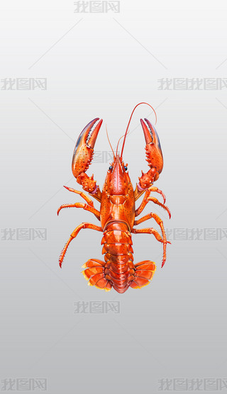 tr宋麣r}Ƭͨ͸pngز