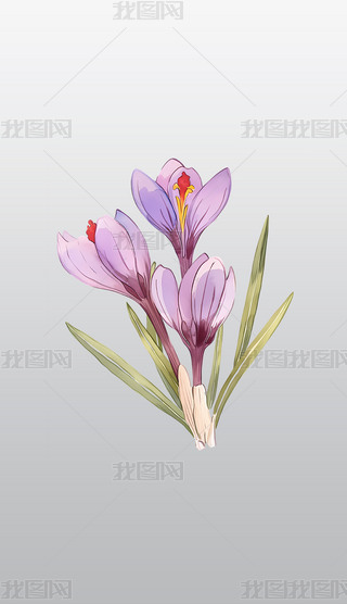 ؼtD2Dͨ͸⓸pngDƬز