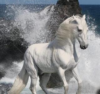ʧٺRL̇@