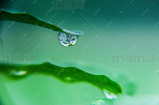 СŮ
