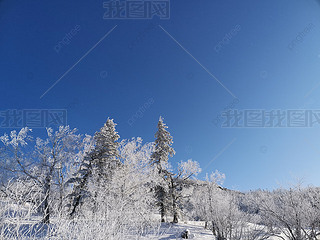ѩеĘ֔zӰD