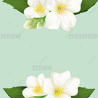 Gɫr(sh)򻨄(chung)ⱳ