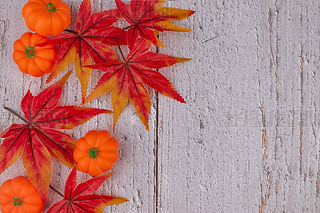 fʥ(ji)~ϹϹ(ji)ձڼ