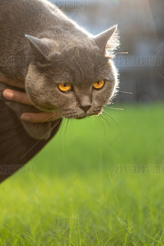 ؈˱µı۾