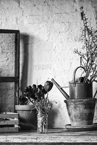 ʽӢl(xing)廨@(ni)O(sh)Ӌ