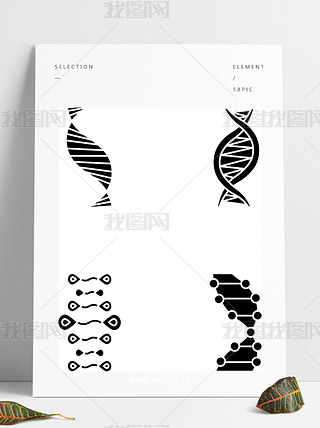 W(xu)MDNAӘ(bio)־̖(ho)