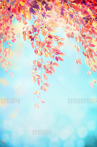 t~֦{ɢ