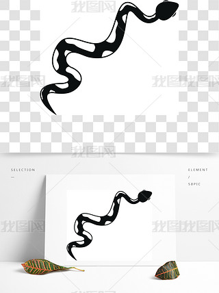 ߈D(bio)ʽ