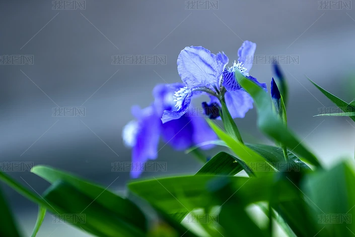 ܈DƬ݋