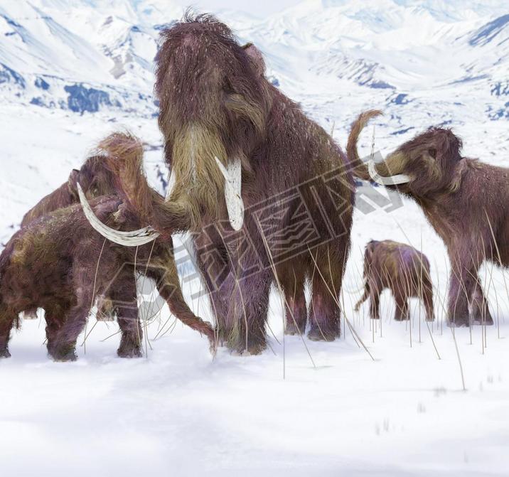 Wooly Mammoth Ice Age Scene