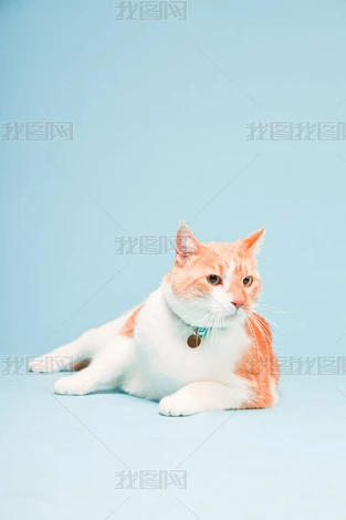 Ę؈