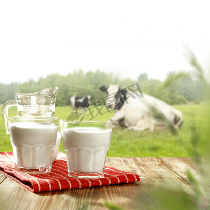 Morning time with rural landscape of cow and milk on table place. 