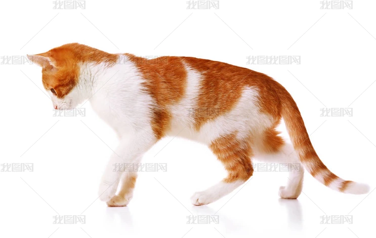 ɐС
