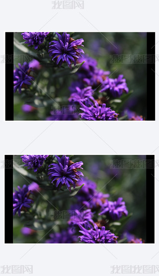 ɫջݱֲ~(5)