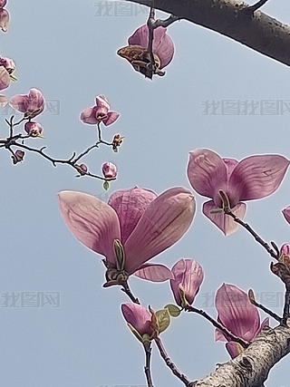 ٻRɫm@gĬĬ`ȻL