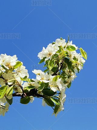 滨?f)ϲ?>
                                                                    </a>
                                <div   id=