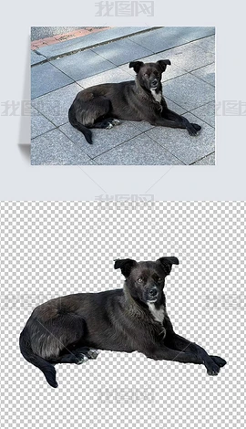 ɫ
