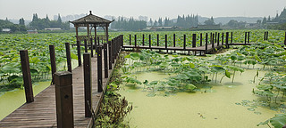 ļͥh(yun)ɽ˼ҳиߘ